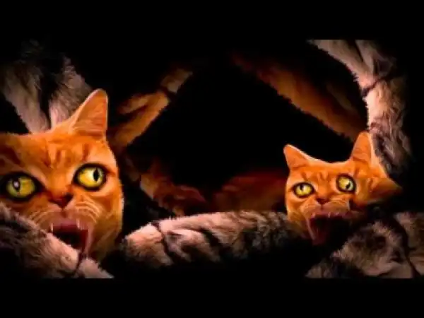 Video: Run The Jewels ft Lil Bub, Maceo & Delonte - Meowpurrdy